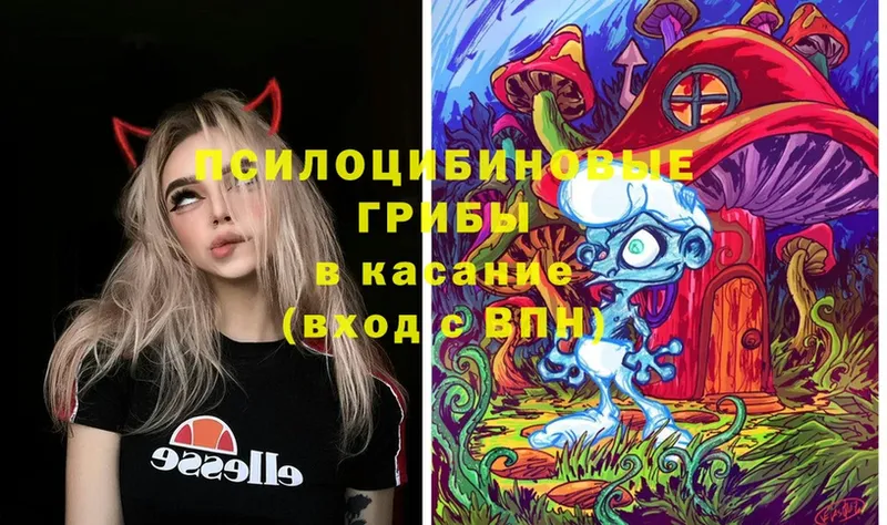 МЕГА как зайти  Карасук  Псилоцибиновые грибы Psilocybe 